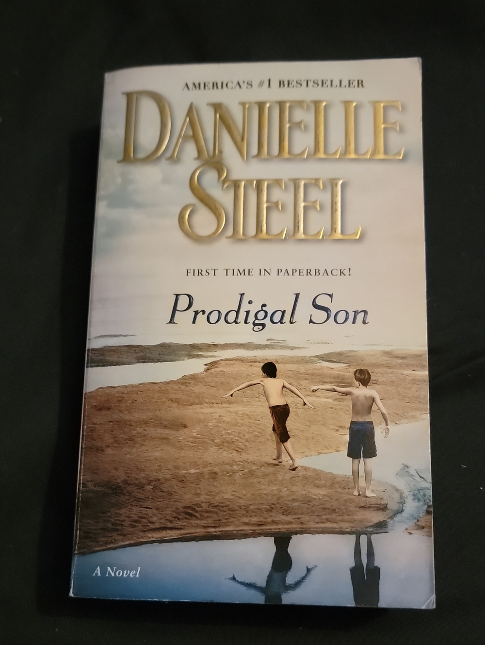 4/$12--- Danielle Steel "Prodigal Son" Paperback Novel